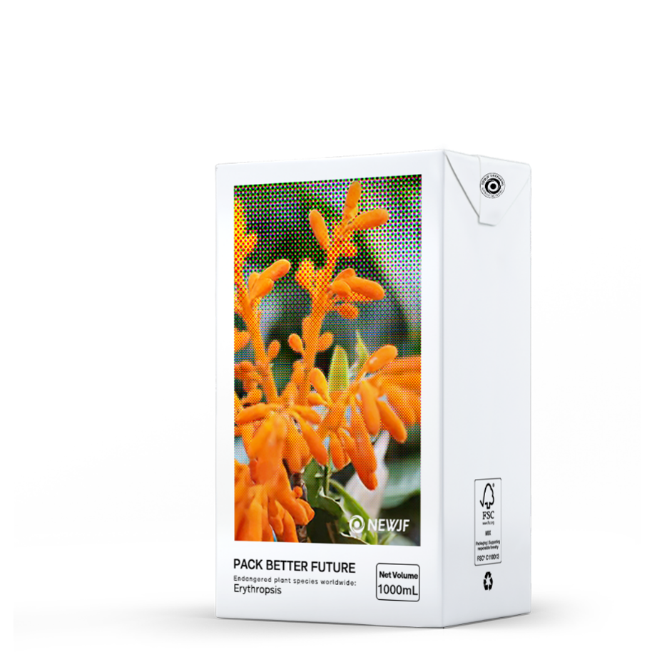 Brick Aseptic Packages (Base) 1000ml Brick Aseptic Packaging - Handy and Well-designed packaging