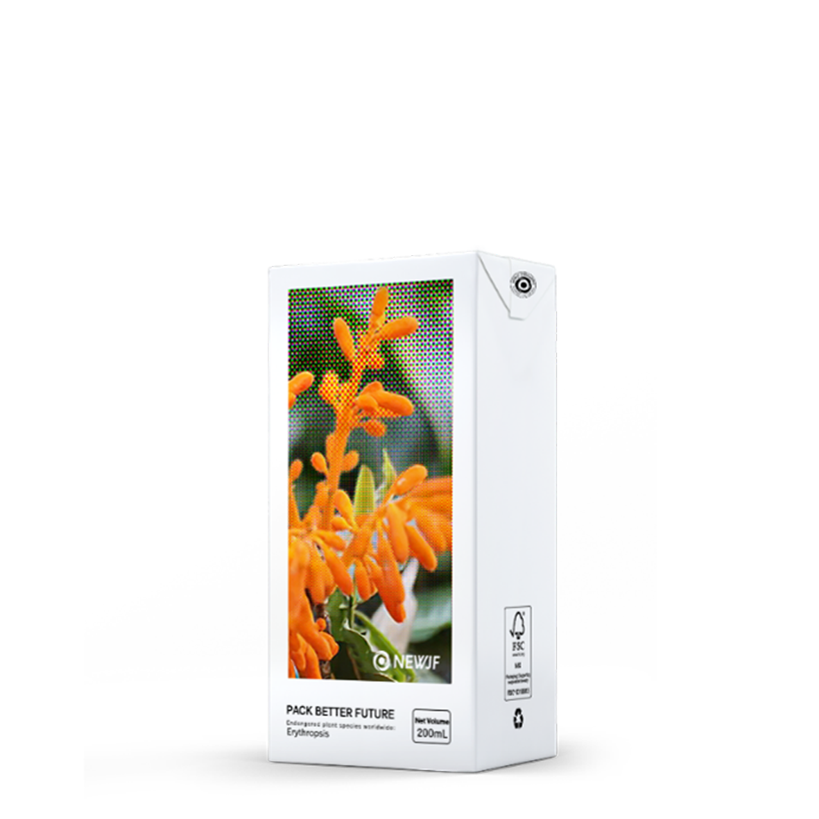 Brick Aseptic Packages (Base) 200ml Easy to Stack Brick Aseptic Packaging