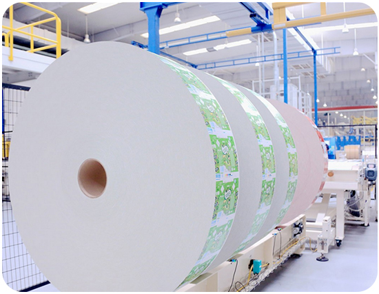 Packaging Factory Setup Packaging Factory Setup with aseptic machines and internal testing